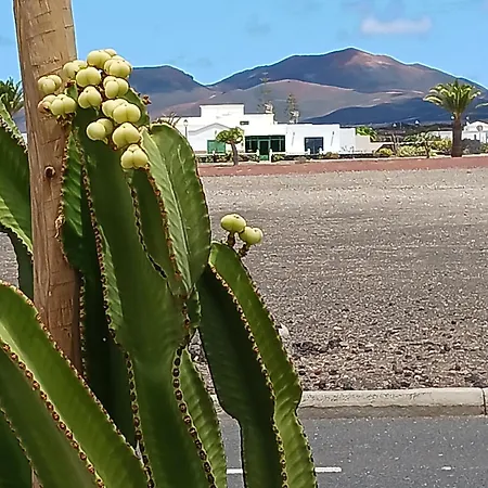 Casa Volcanes Holiday home *